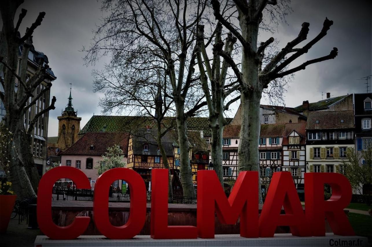 Charmant Appartement Cosy Porte De Colmar Sainte-Croix-en-Plaine Екстер'єр фото