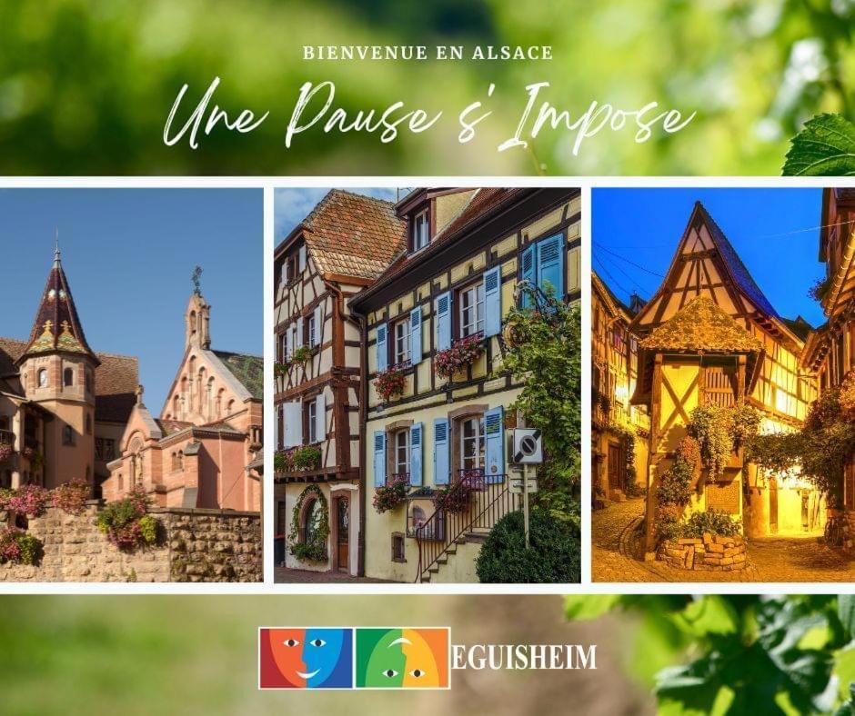 Charmant Appartement Cosy Porte De Colmar Sainte-Croix-en-Plaine Екстер'єр фото